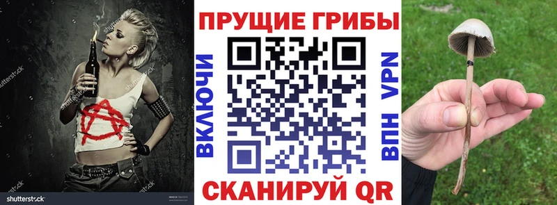 Галлюциногенные грибы мухоморы  дарнет шоп  это наркотические препараты  Ейск 